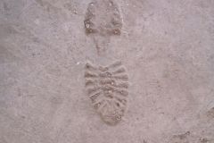 IMG_20210729_171650